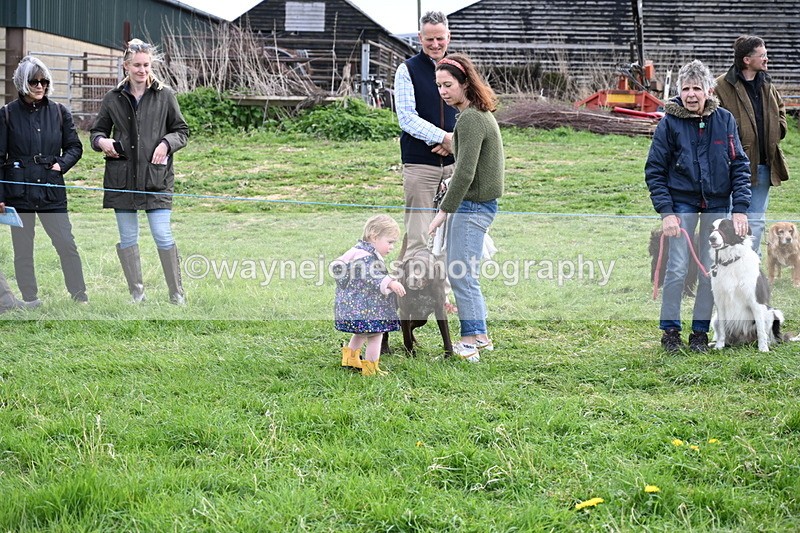 WJ6_8547 - Class 6 Best Rescue