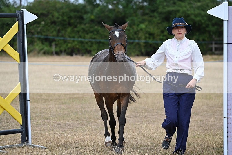 WJ6_8061 - Class 10 Coloured in Hand