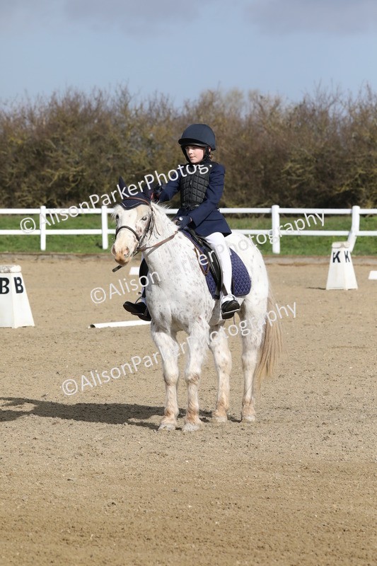 20260314-0303 - DR1 - Intro 1