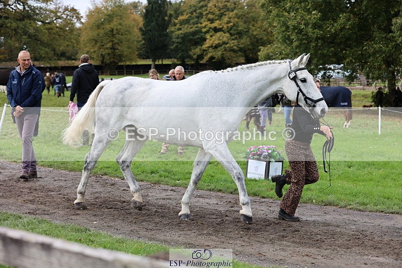 251026A-120219-25840 - F-476-Romellie.Brown