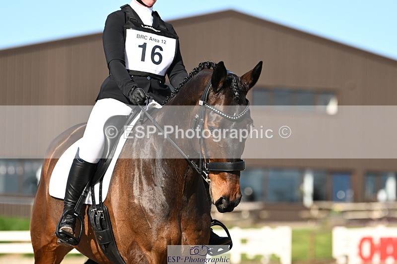 240324A-150822-04797 - Prelim 7, 15.00 to End