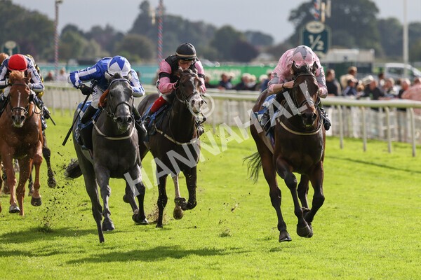 yr24092021r4-22 - Race 4 3.15pm William Hill Play Responsibly British EBF Restricted Novice Stakes