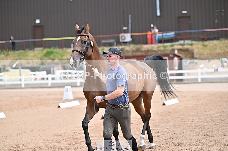 250716-132329-00476 - Trot Up 12.30 to 1.30