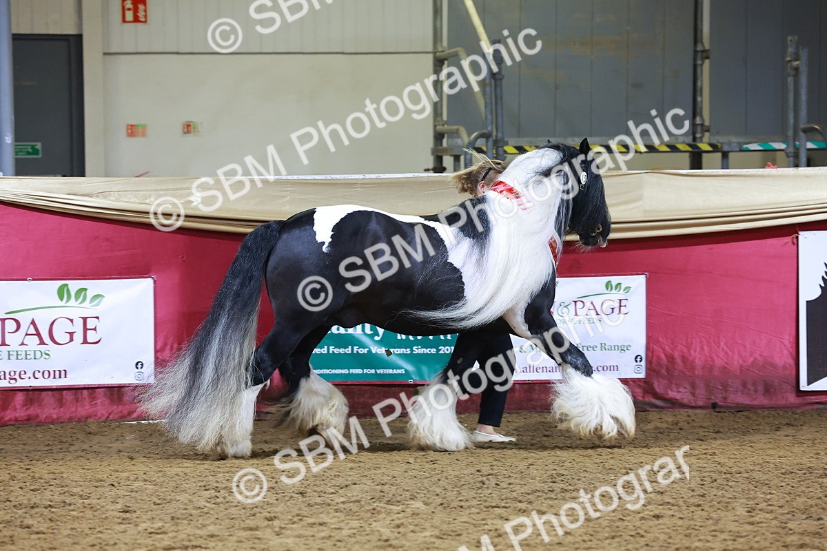 SBM_14936