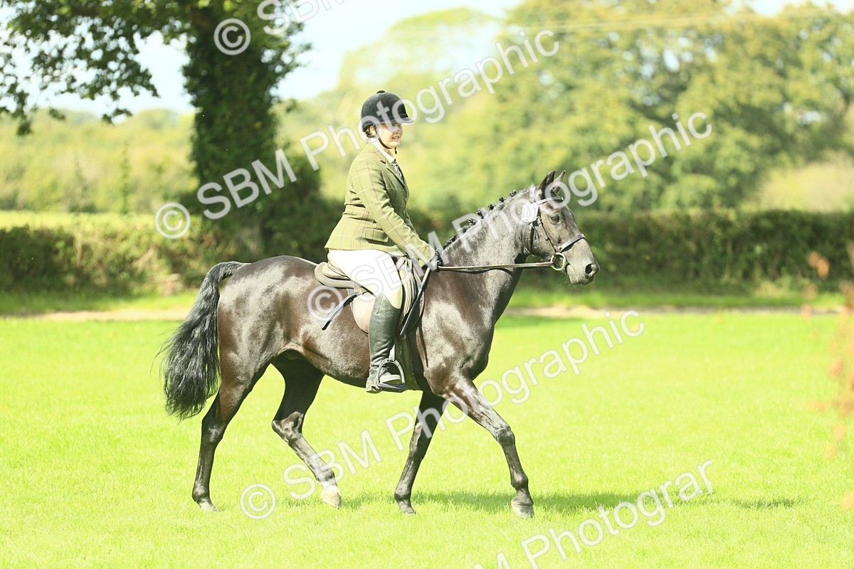 SBM_42057 - S29 - Novice & Newcomers Working Hunter Pony