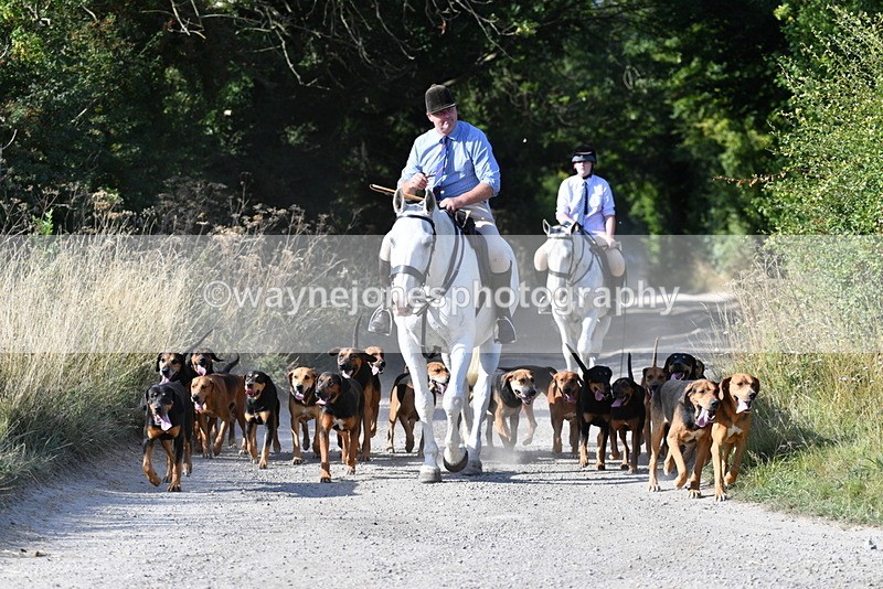 WJ5_4793 - Walk out with the hounds