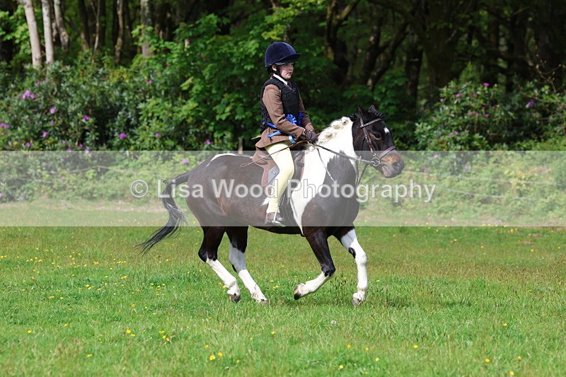 3E7A2712 - Working Hunter Championship
