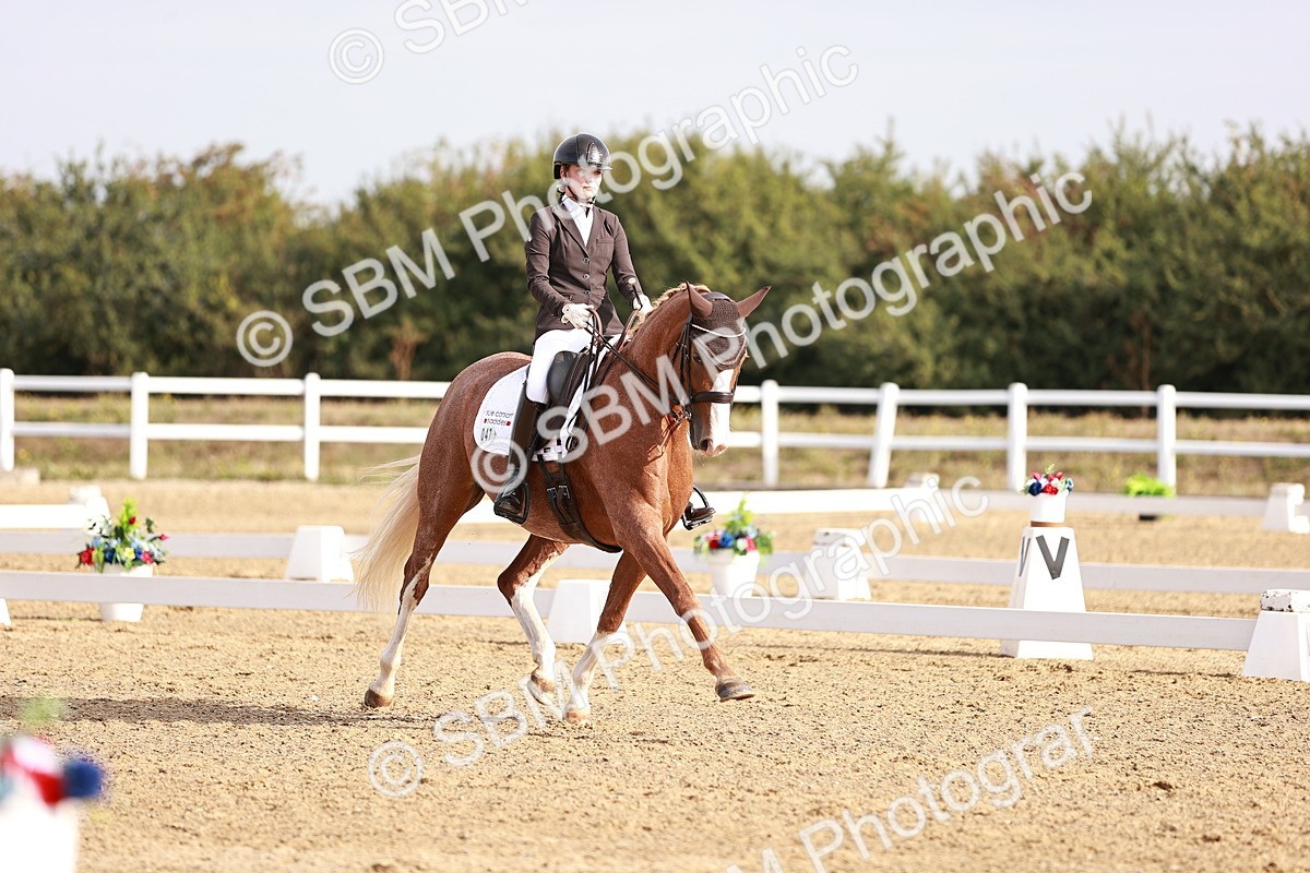 SBM_016863 - Class 10 - Medium 6