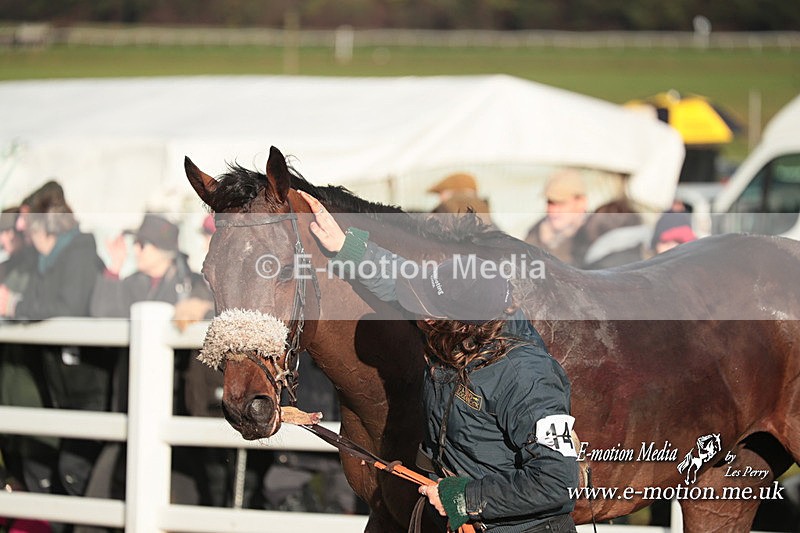 PtP 101223 896 - New Forest Hounds PtP Larkhill 10/12/23