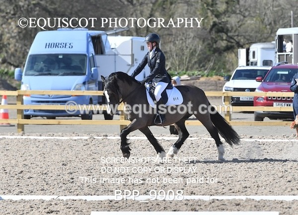 BPP_9908 - TEAM QUEST PRELIM 3