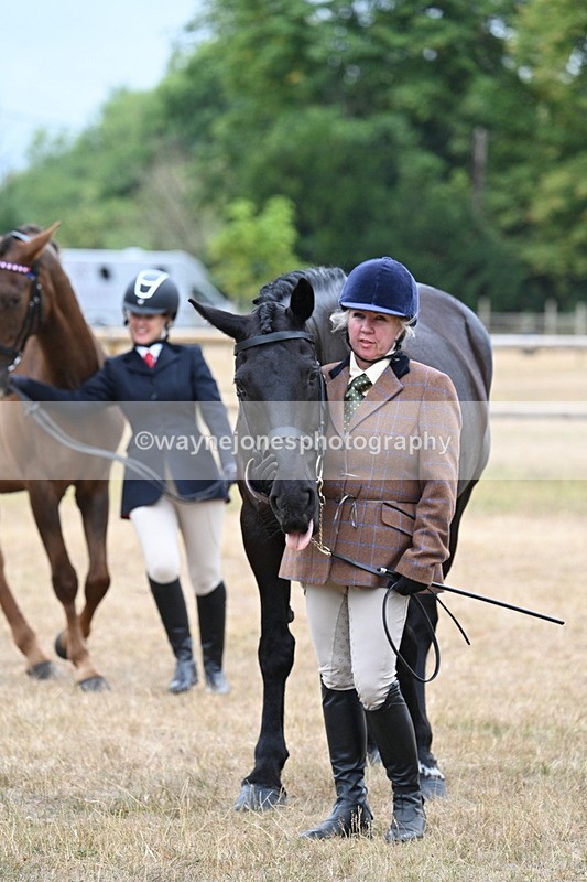 WJ7_0137 - Class 5a Most Handsome Gelding (above 14.2hh)