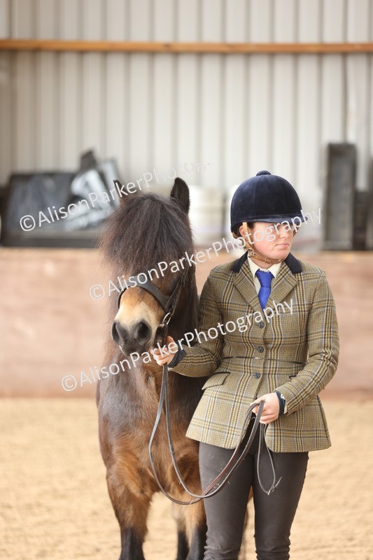 20251109-0618 - Class 22 - Geldings 4 Years and over