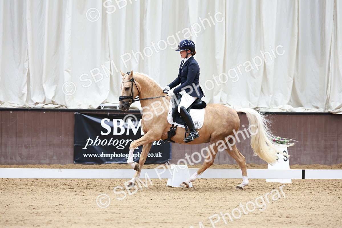 SBM_017324 - Class15 - FEI Pony