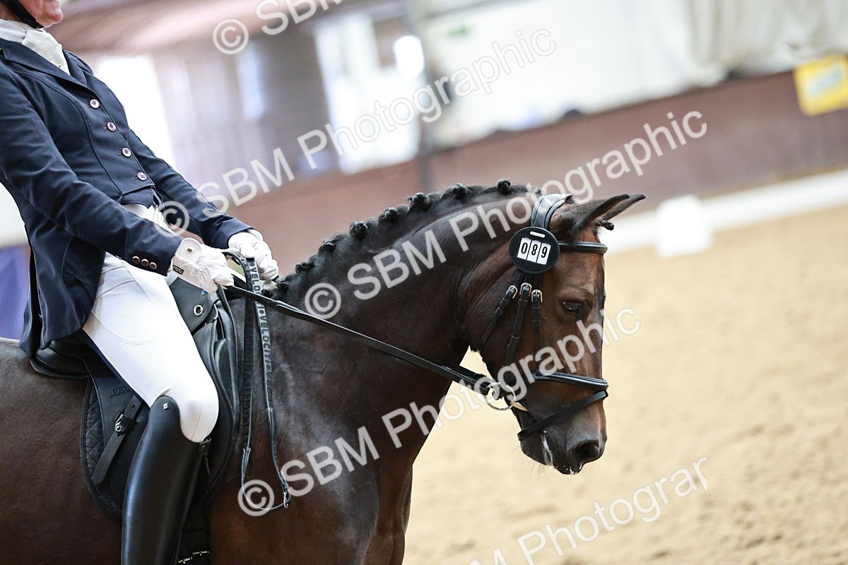 SBM_014177 - Class 7 - Ele FSM Bronze 12.12.13.08