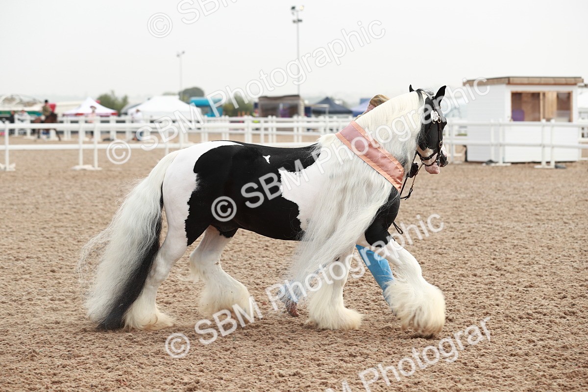 SBM_09594 - Class 201 Best Turned Out IH