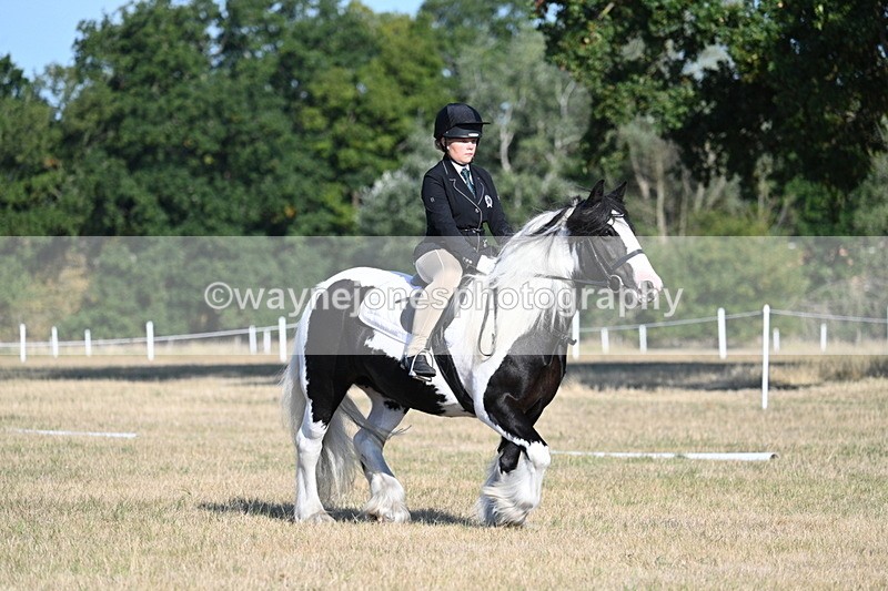 WJ7_8810 - Time 09:00 to 09:24