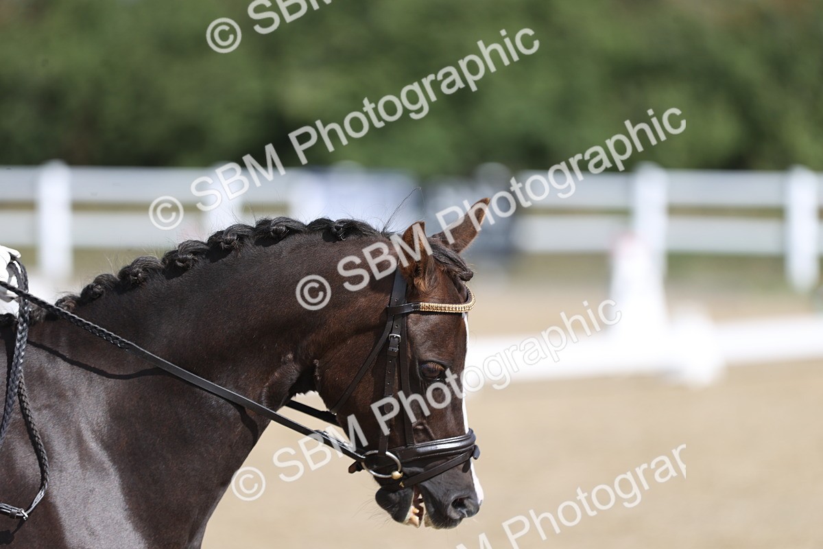 SBM_001292 - Class 2 - Intro 4 Champs - 10.56-11.44