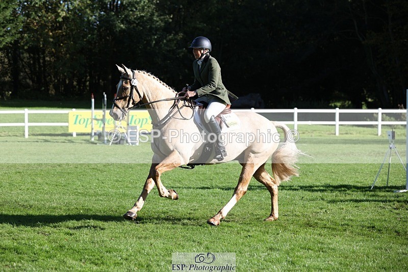 231022-104356-24704 - 612-CORRIEVIEW.MERLIN.MAGIC-Jane.Rogers-TrotUp+SJ