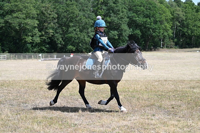 WJ7_0162 - 40cm Time 11:47 to 12:01