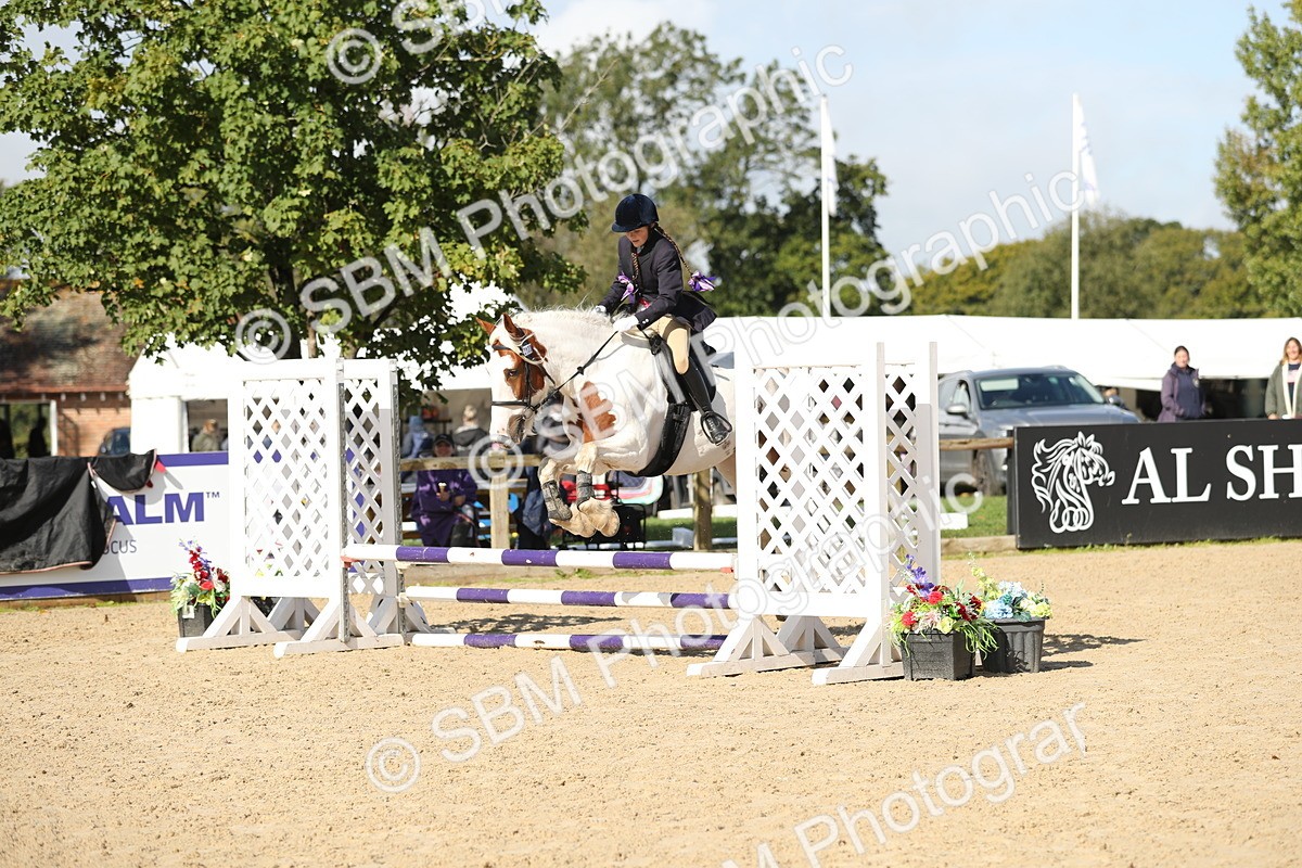 SBM_40189 - J21 - Junior Horse 60cm Championship