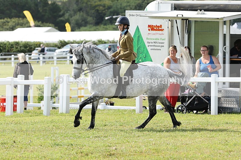 JPP_0765 - Class 16: Cornish Combination Young Rider