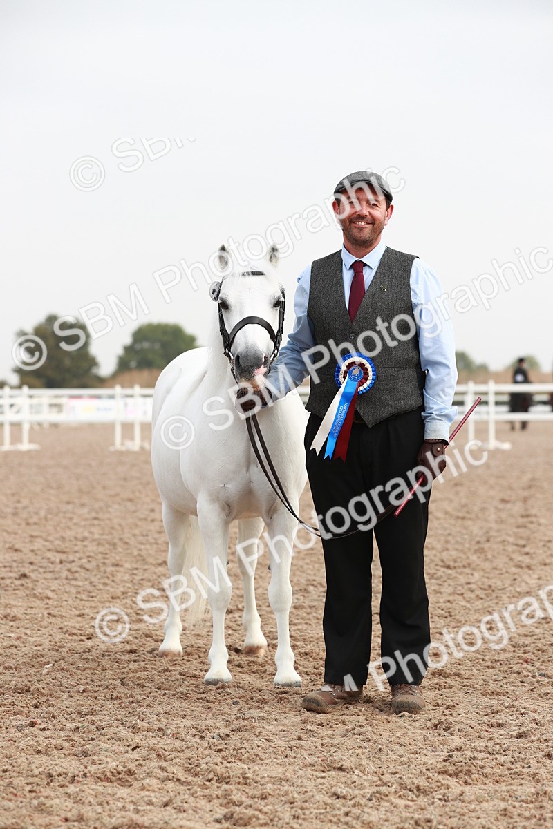 SBM_09569 - Class 201 Best Turned Out IH