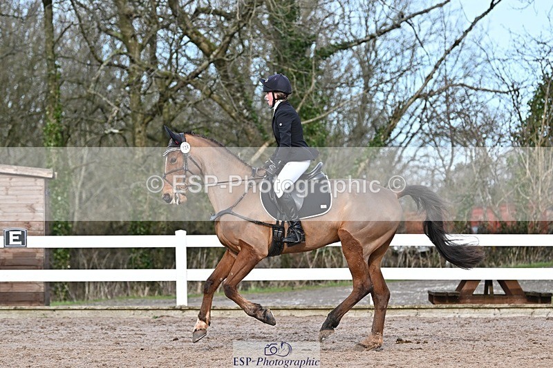 250125-125459-00515 - Dressage - CT Class 6 BE102