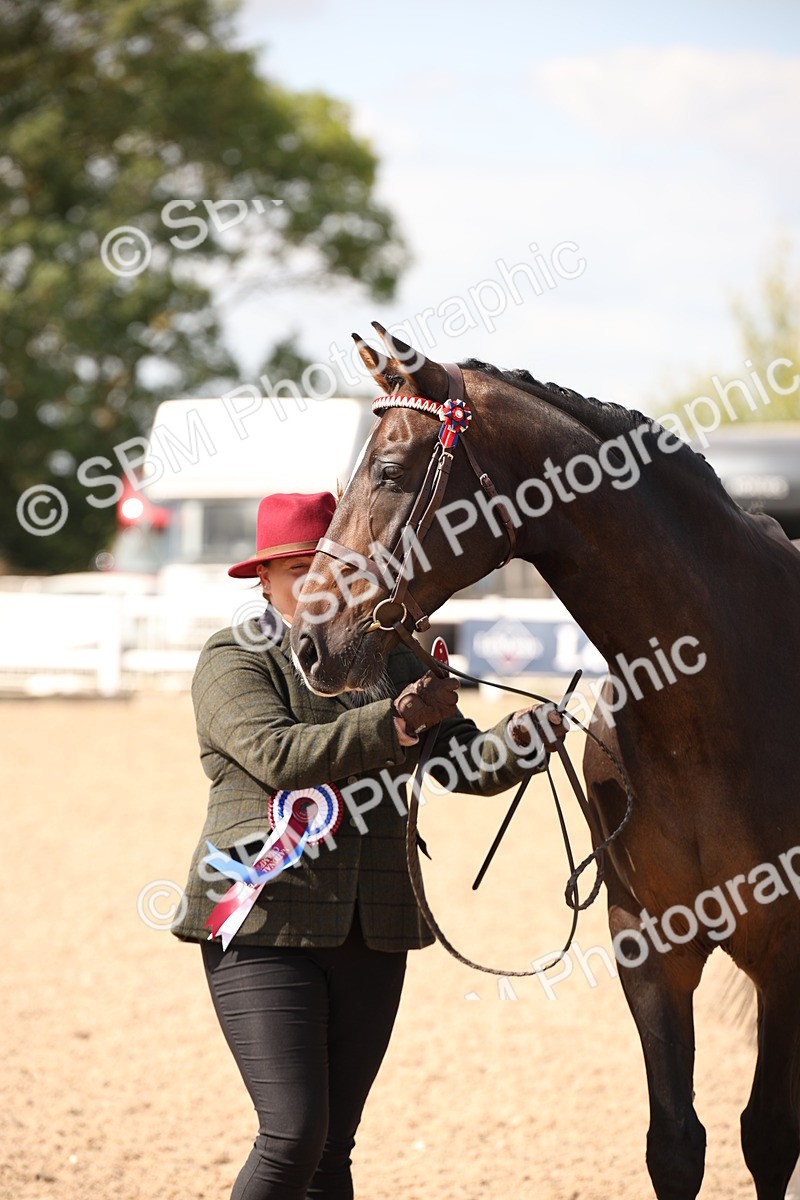 SBM_03792 - Class 19 Judge's Favourite