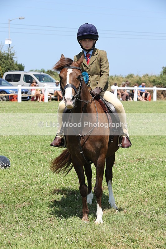 JPP_2387 - Class 20: Tiny Tots Working Hunter Pony