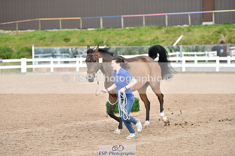 240417A-154954-01005 - 3pm to 4pm