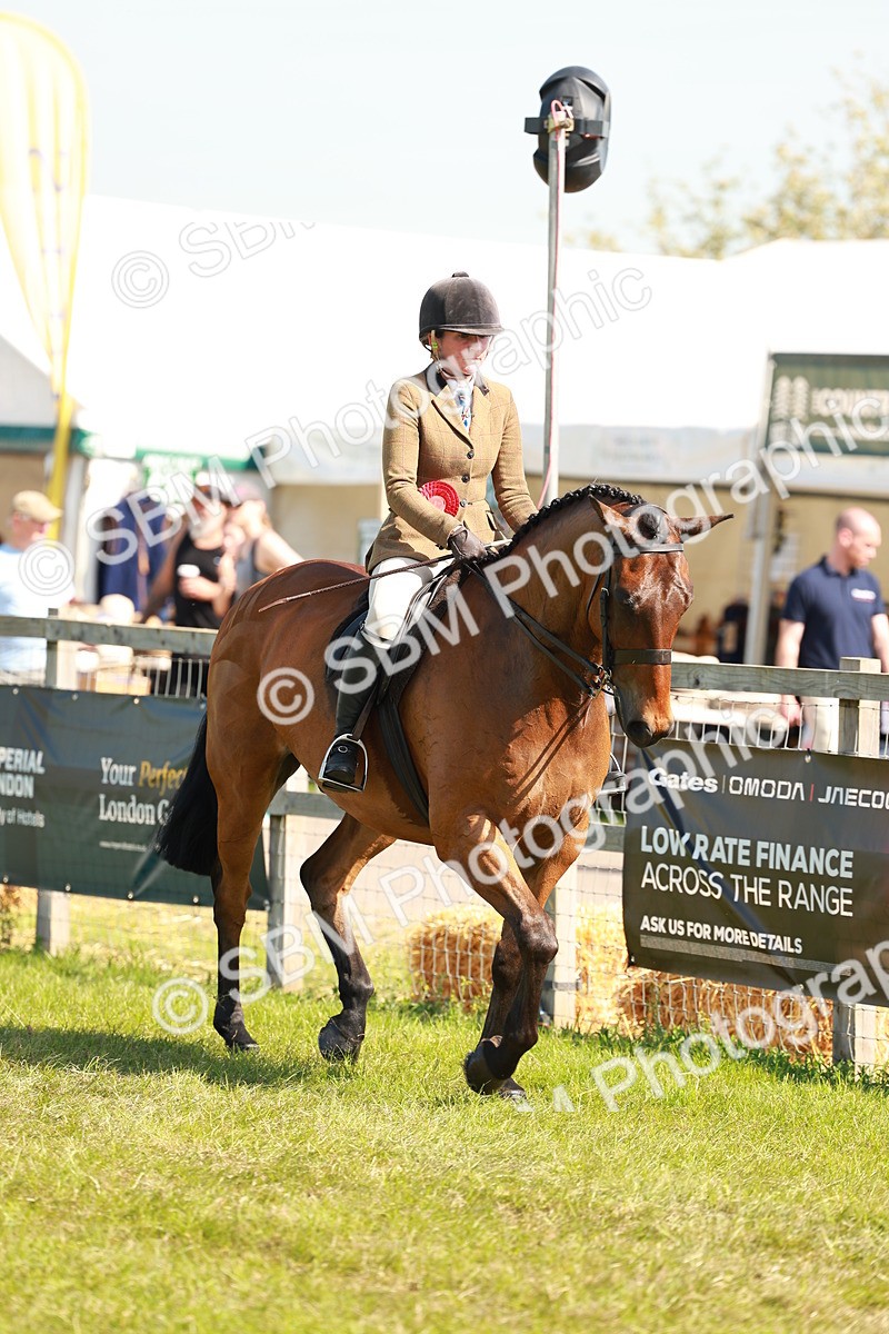 SBM_12105 - Class 66-69 - RIHS Ridden Hunters Inc Small Hunter