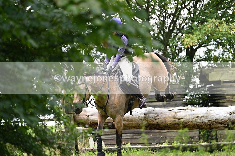 WJ7_8172 - Time 14:11 to 14:30