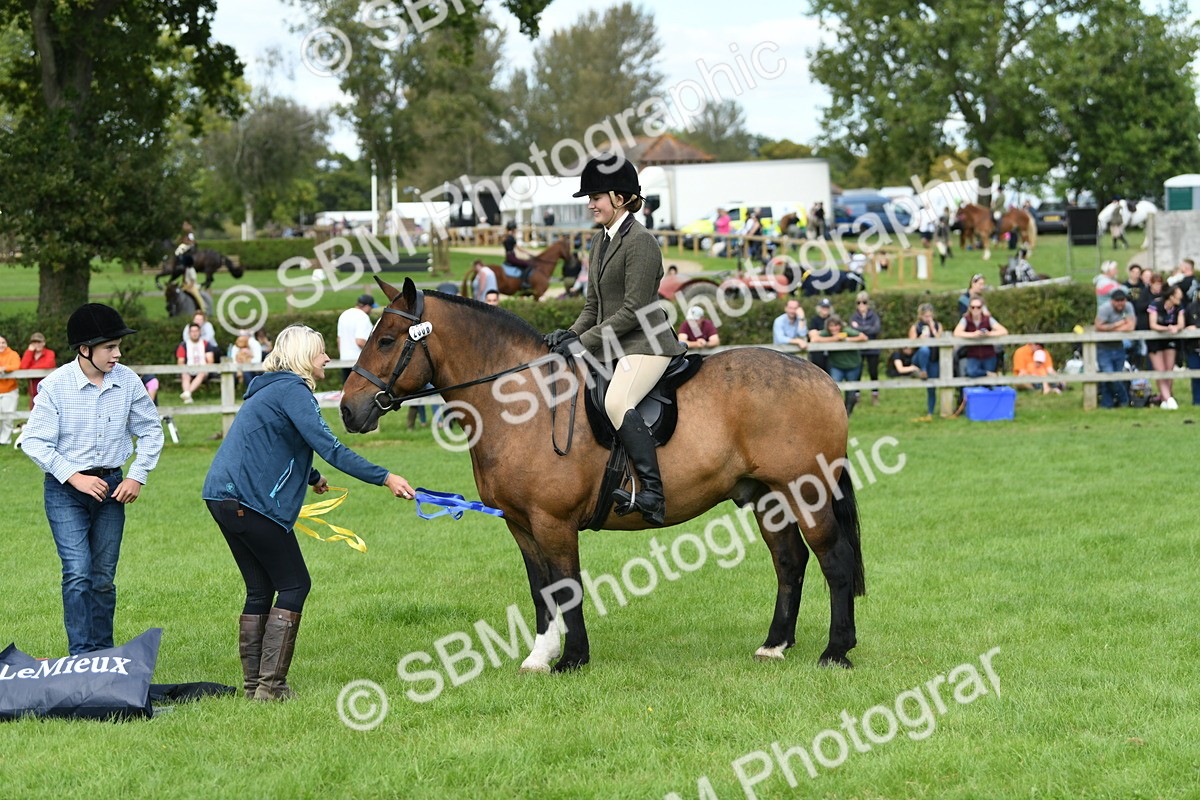 SBM_46863 - S12 - Family Horse & Pony