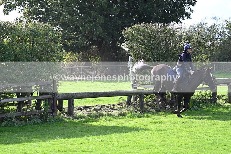 WJ7_7725 - Time 10:30 to 11:38