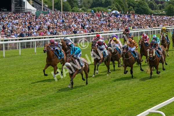 310525-Race 1-Ingleby Archie-8565 - Race 1 1.30pm William Hill Keep Your Raceday Positive Handicap