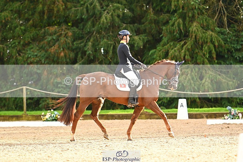 231021-152004-20821 - 257-LOXLEYS.LAST.STAND-Owen.Wong-DR