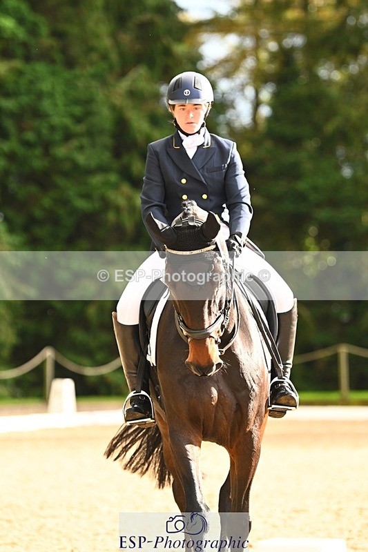 231021-153315-20894 - 259-BOSTON.IV-Rosie.Thomson-DR