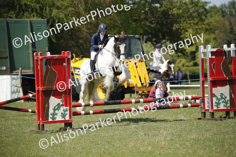 20250427-2355 - Class 13 - Novice Jumping 60cm