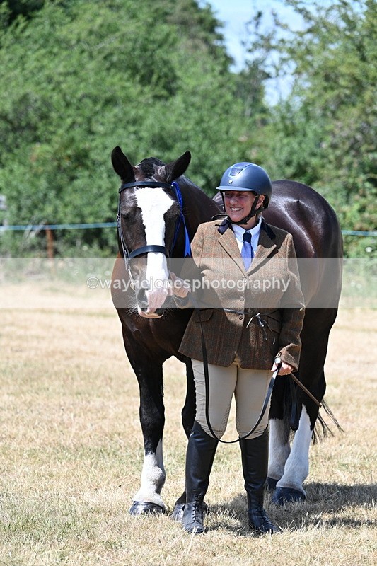 WJ7_2456 - Class 5a Most Handsome Gelding in hand (above 14.2hh)