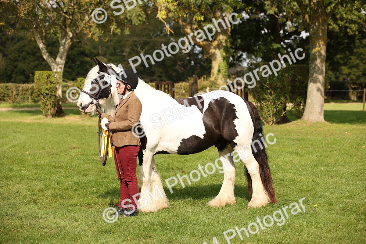 SBM_62323 - S55 - Traditional Cob In Hand