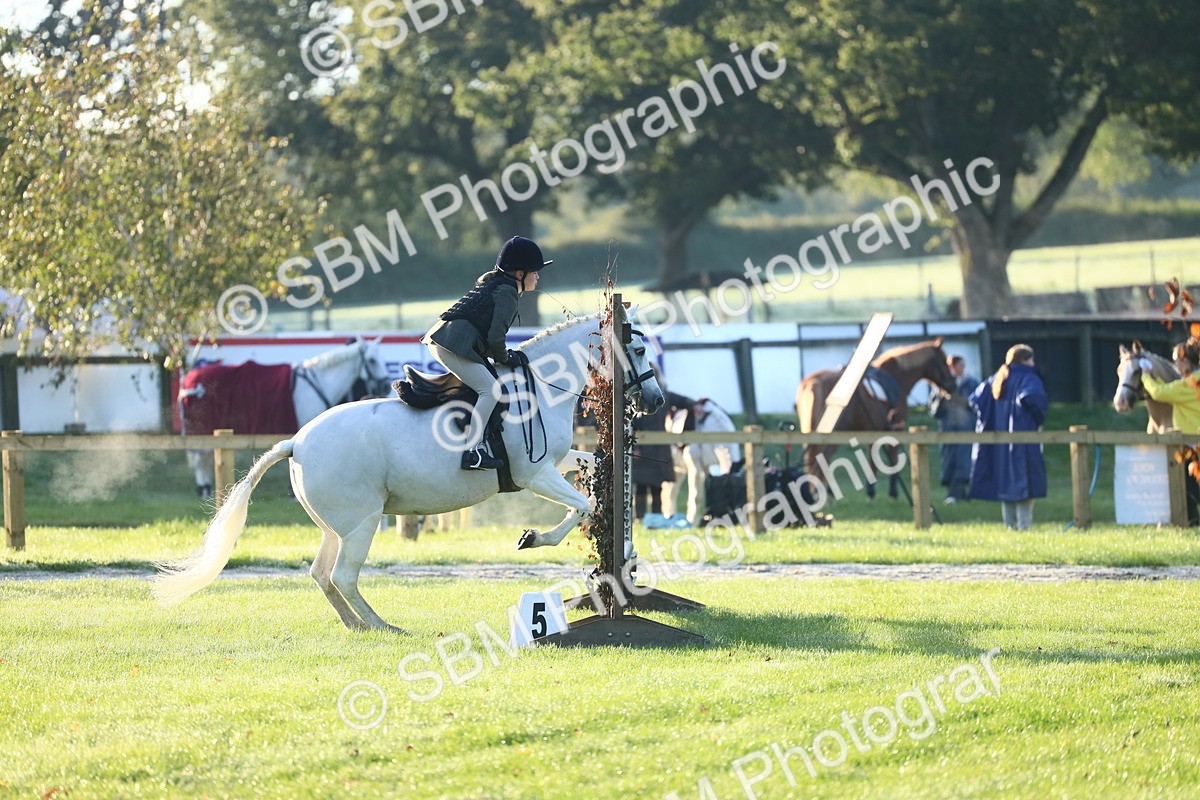 SBM_31695 - S28 - Nursery Stakes Working Hunter Pony