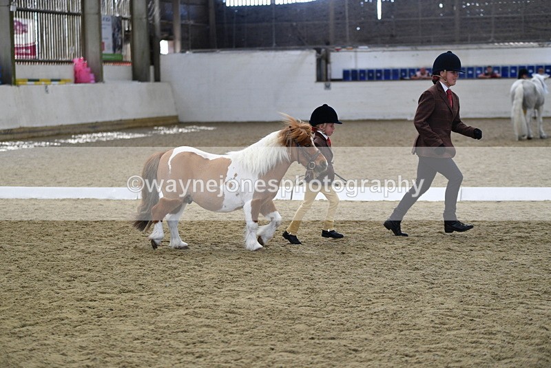 WJ5_4921 - Class 7 In hand coloured / odd coloured