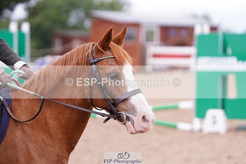 250706-091634-00173 - Cls 01 30 - 40cm 08-30 to 09-30