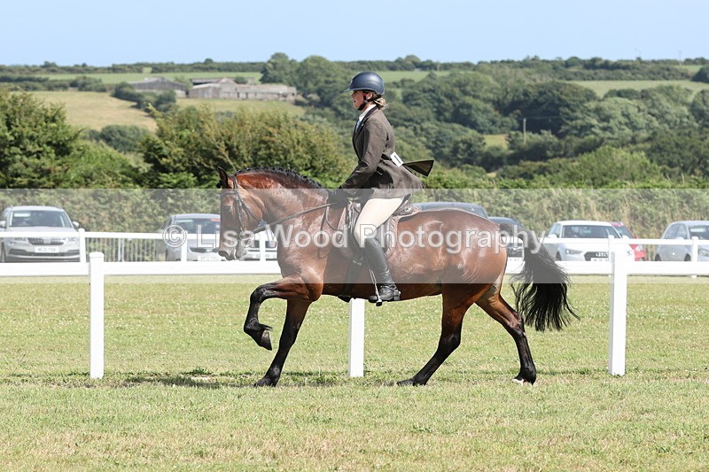 JPP_2331 - Class 19: Working Hunter 60cm