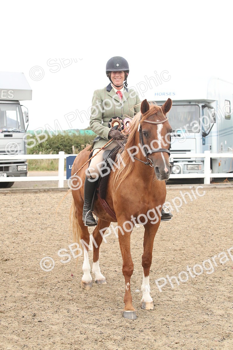 SBM_17938 - Class 508b - Working Veteran 70cm (20+)