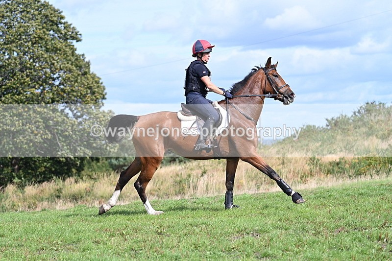 WJ7_2014 - Time 13:17 to 13:53