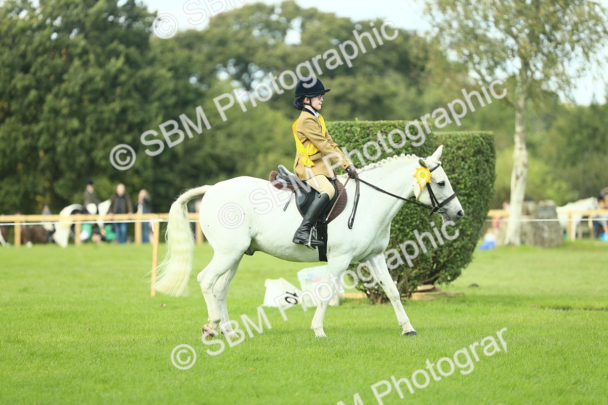 SBM_44860 - Working Hunter Pony Supreme Championship