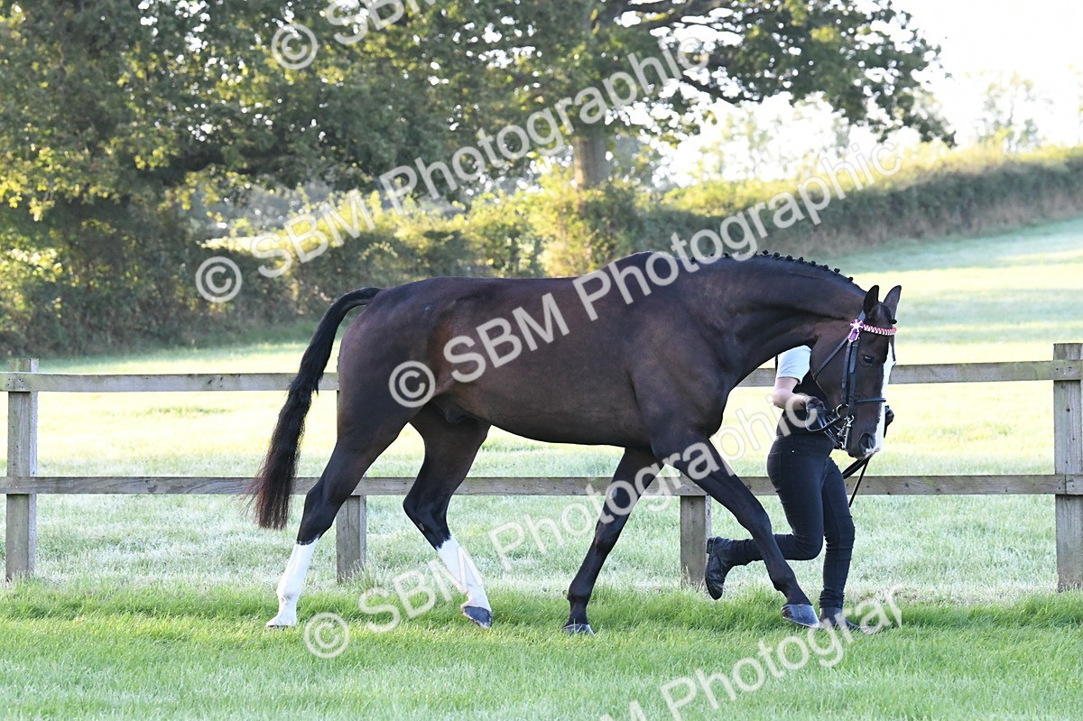 SBM_32583 - S15 - Condition & Turnout In Hand