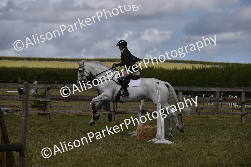 20250831-4116 - Class 13 - Working Hunter Horse or Pony