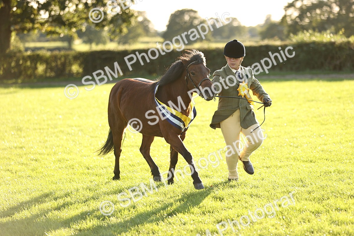 SBM_30155 - Novice & Newcomers Supreme Championship